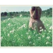 Phương Loan's photo