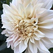 Jody Mattics's photo