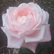 Leanne Orr's photo