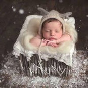 Tricia Schmidt's photo
