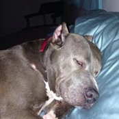 Karen Larson's photo
