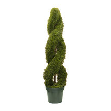 Artificial Plants