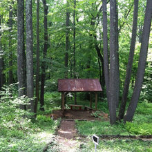 Pavilion