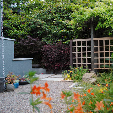 Berkeley Urban Patio Front Yard
