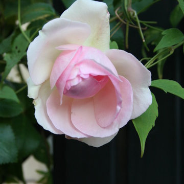 Giardino privato