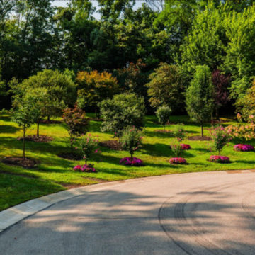 A beautiful yard very rarely happens by accident. While it is tempting to head t