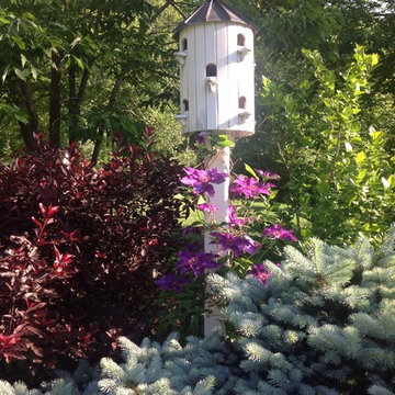 A Designer's Garden