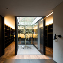 Modern House