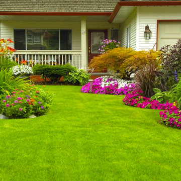 Front Yard Landscaping