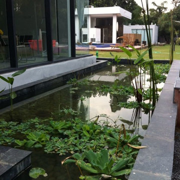 Beautiful Residential Pools & Waterbodies by Ushmaya Wellness