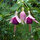 webuser_4821905
