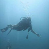 Steve Binns's photo