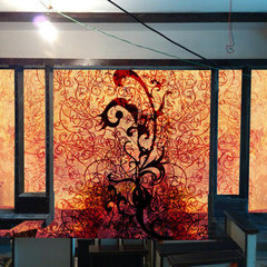 Vinyls & Graphics