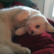 Lori Flaherty-Estes's photo