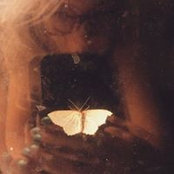 Saree McClaran's photo