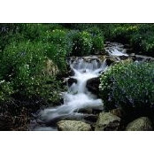 Elise Ronan's photo