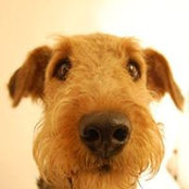 Eva Avdal's photo