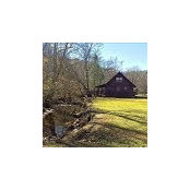 Bette McManus's photo