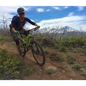 Elizabeth White's photo