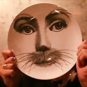 Felicia Stingone's photo
