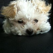 Harry Hou's photo