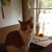 Julie Floyd's photo