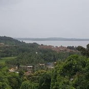 Himanshu Thareja's photo