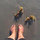 dorie_andrews