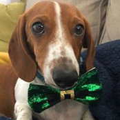 Kimberlee Sharrard's photo