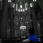 Shawn Leeさんの写真