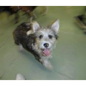 Kara Brocious's photo