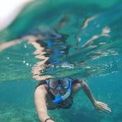 Max Huynh's photo