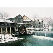 Sarah Wolfram White's photo