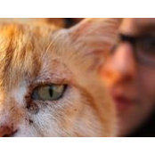 Amy Theuma's photo