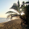 Joe Lucey Carpentry Inc.'s profile photo