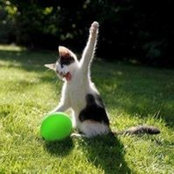 Clark McGuffie's photo