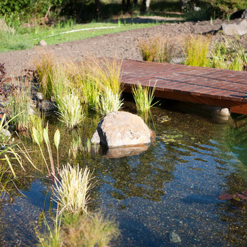 Natural Swimming Pool