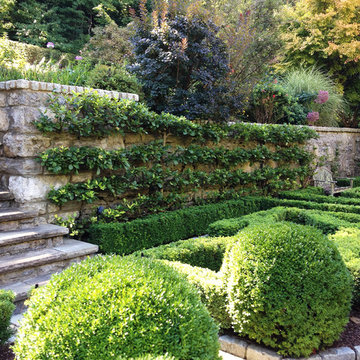 Espalier Tree Installations