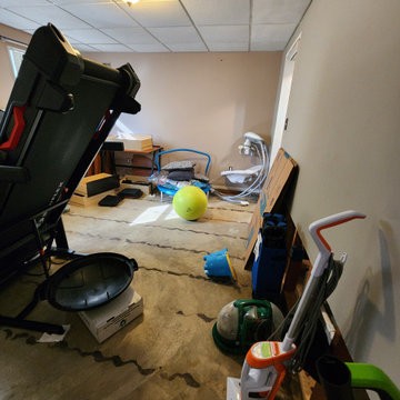 Basement Finish with bathroom