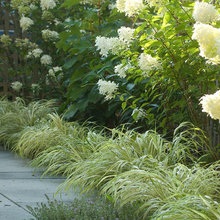 32 Myrtledale landscaping