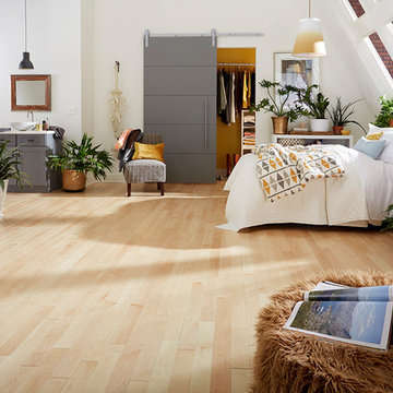 Bohemian, Organic, Loft Apartment - Newport Solid, Natural Maple Hardwood