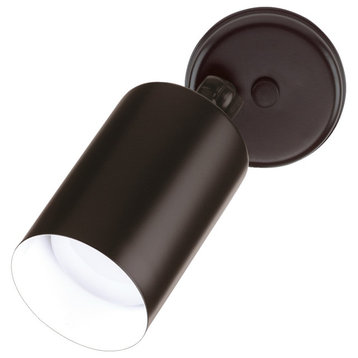 75-Watt Single Cylinder Adjustable Security Flood Light, Black