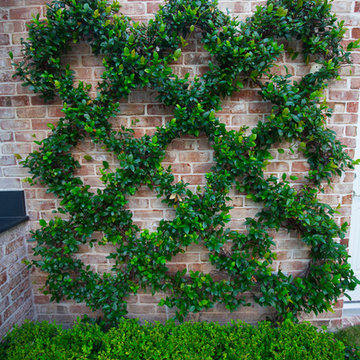 Front & Back Landscaping