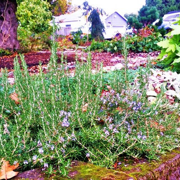 Woodstock Craftsman Cottage Rain Garden