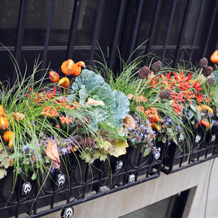 Photo of a mid-sized traditional backyard full sun garden for fall in Chicago with a container garden.