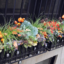 Fall Ideas