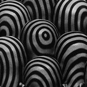 Sally Tarek's photo