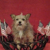 Roxie Oglesby Dunn's photo