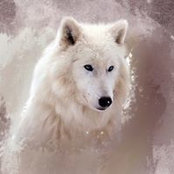 Jenny Smiths foto