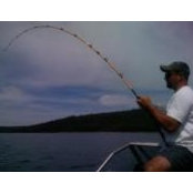 Zac Davis's photo